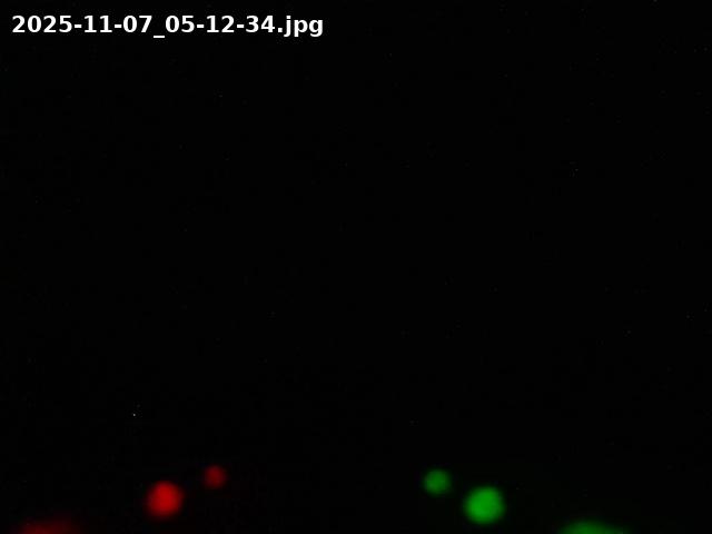 2025-11-07_05-12-34.jpg