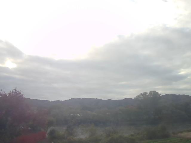 2025-11-08_08-12-44.jpg